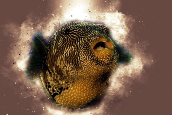Discover the Power of Fish Printable Graphic 11: A Modern Solution for Creative Expression