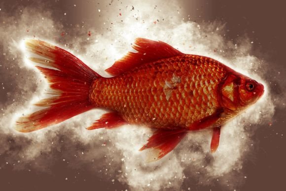 Fish Printable Graphic 10: Express Yourself with Quality and Convenience
