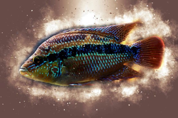 Fish Printable Graphic 12 for Creative Expression