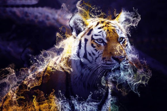 Tigers Printable Graphics Pack 01