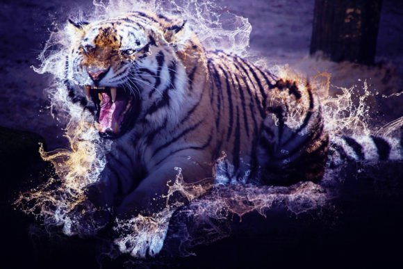 Tigers Printable Graphics Pack 03