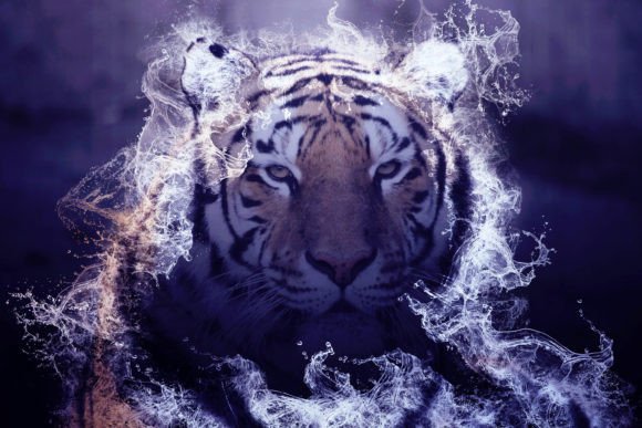 Tigers Printable Graphics Pack 04: A Versatile Tool for Creative Expression